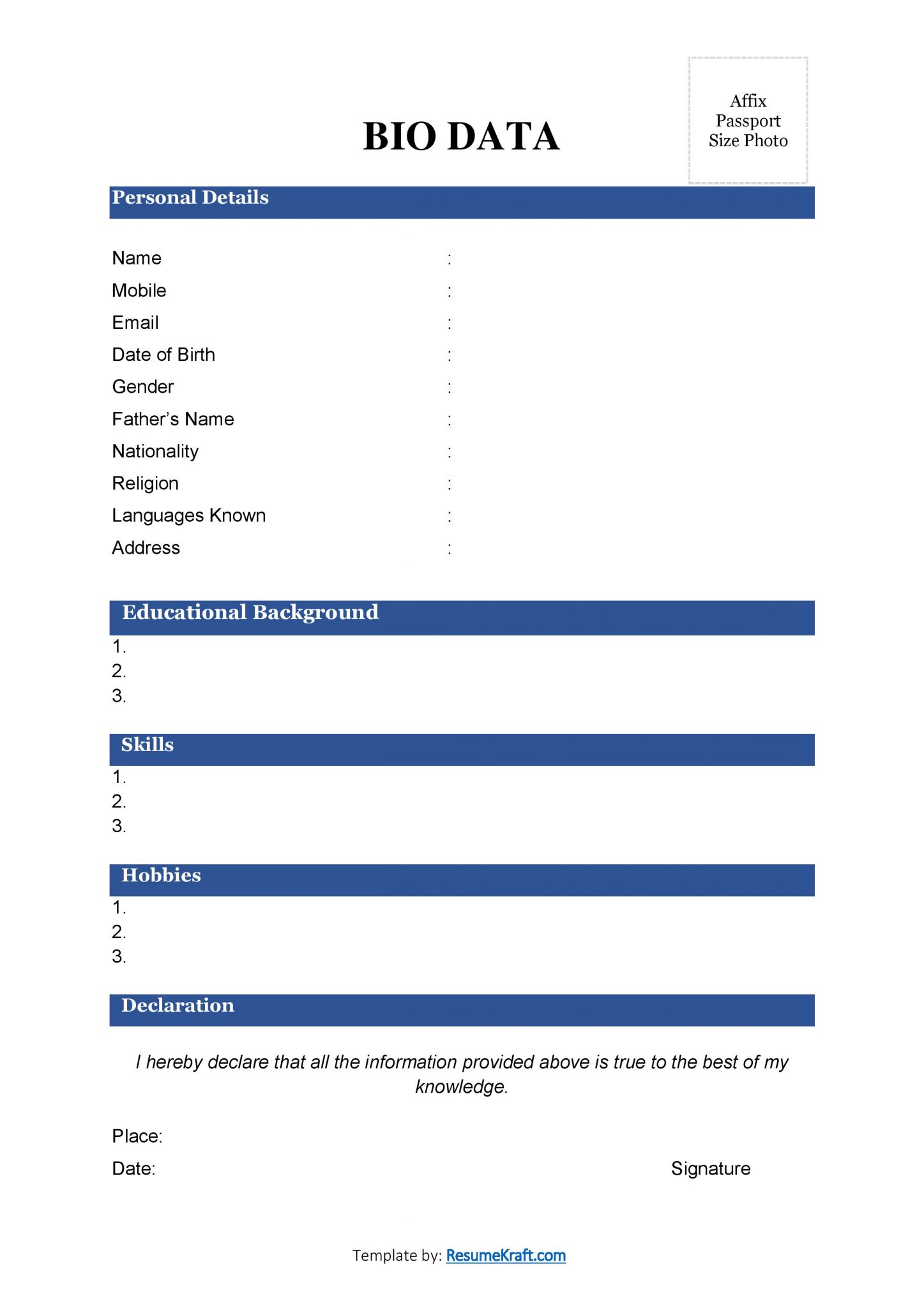 20+ Sample Bio Data Formats for Job PDF & Word Free Download 2024