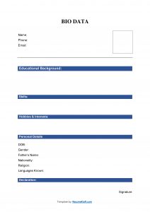 20+ Sample Bio Data Formats for Job PDF & Word Free Download 2024