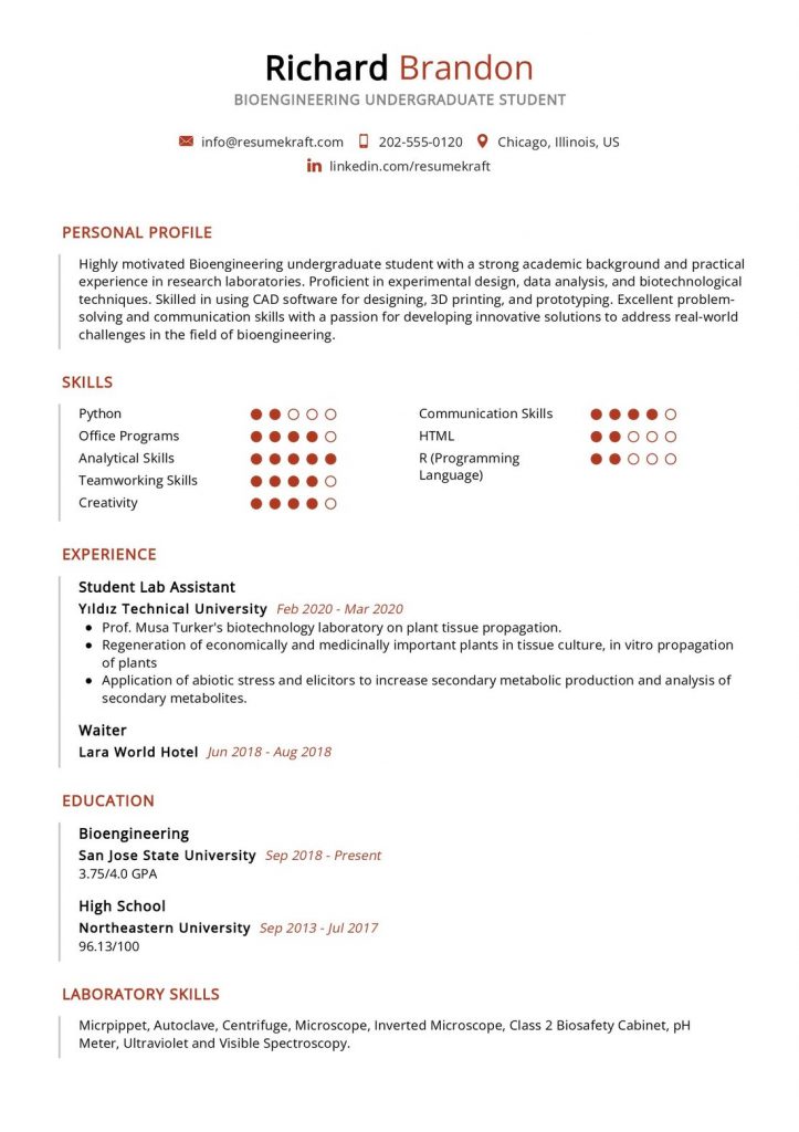 Education Resume Examples - Page 11 of 18 in 2024 - ResumeKraft