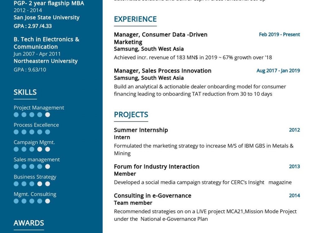 Business Strategy Resume Sample