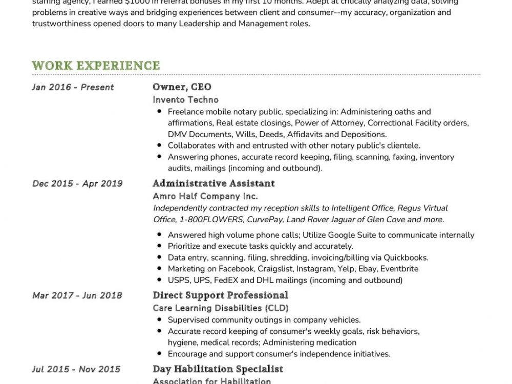 chief-executive-officer-resume-example-in-2024-resumekraft