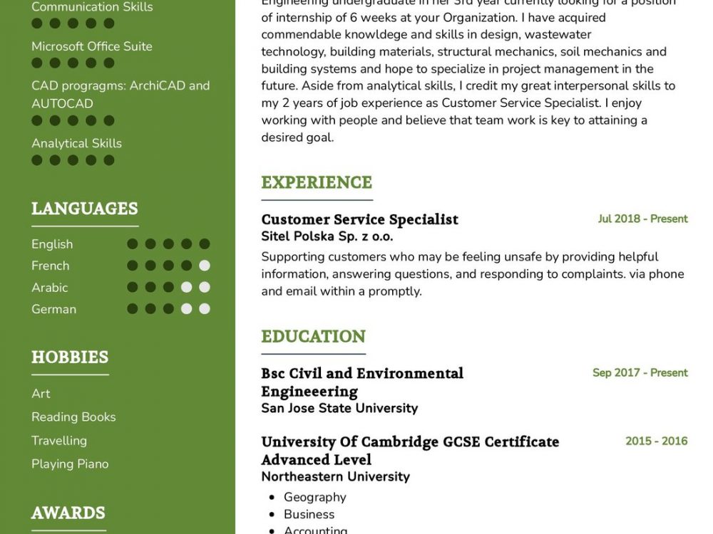 Civil and Environmental Engineering Undergraduate Resume Sample