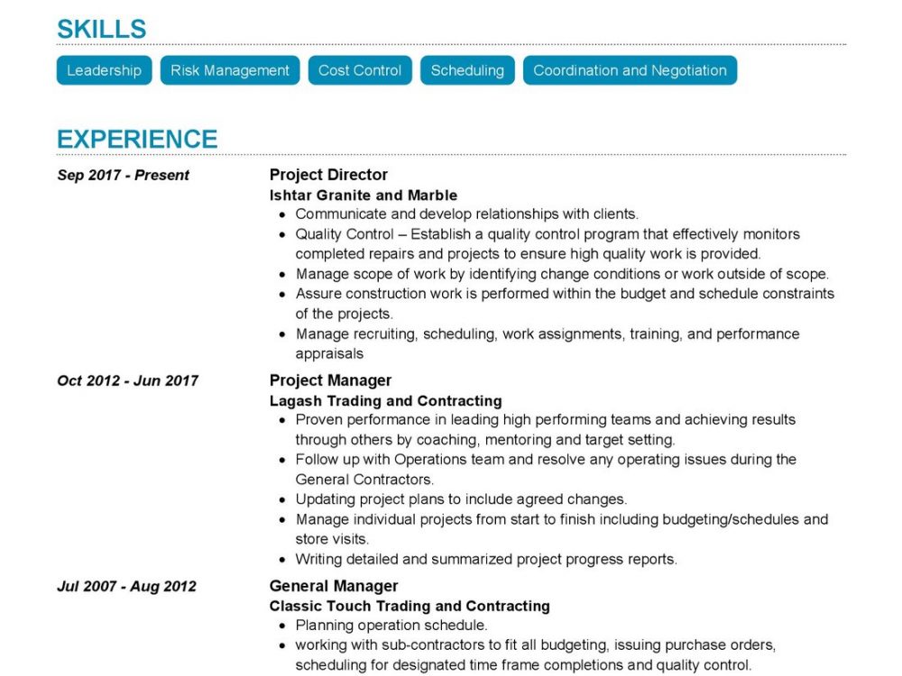 Construction Project Director Resume Example