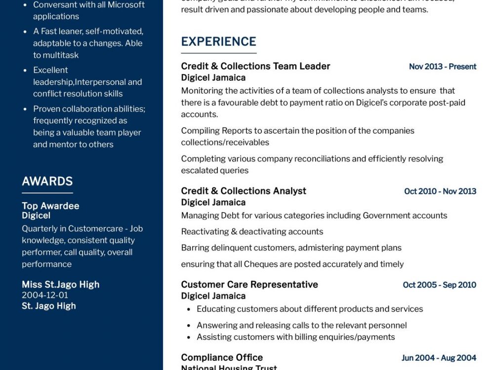 Credit & Collections Team Leader Resume Sample