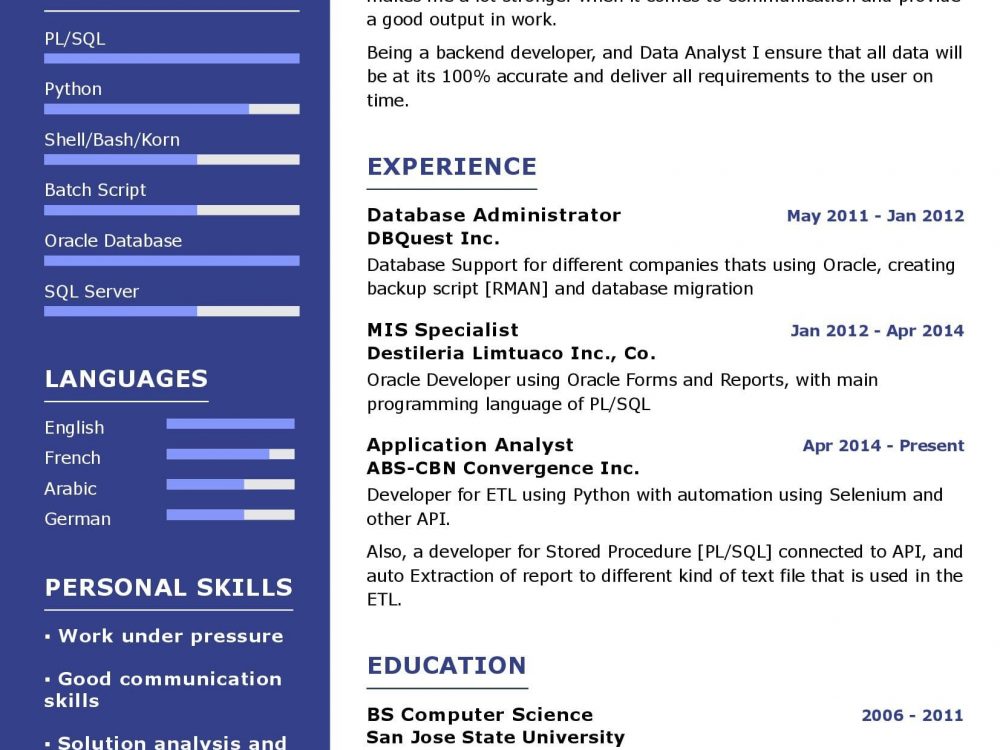 Database Administrator Resume Example