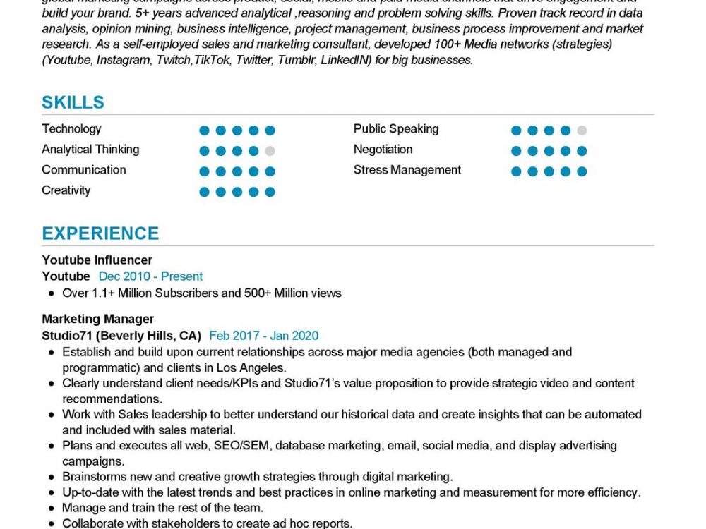 Digital marketing professional Resume Example in 2024 - ResumeKraft