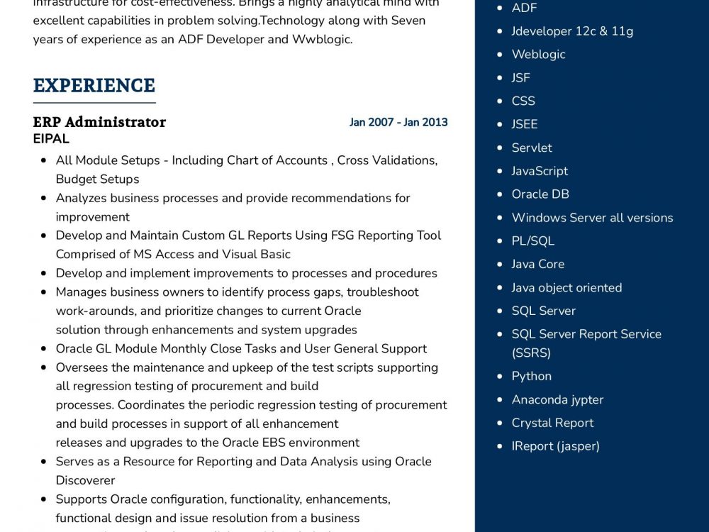 ERP Administrator Resume Example