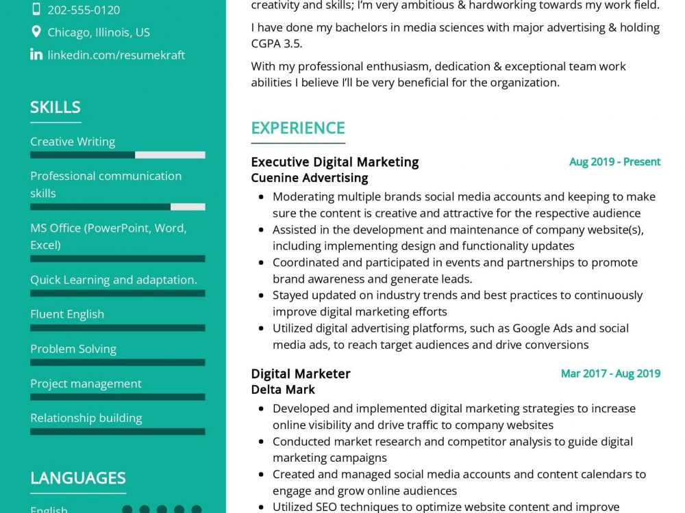Executive Digital Marketing Resume - Executive Digital Marketing Resume Sample 1000x750
