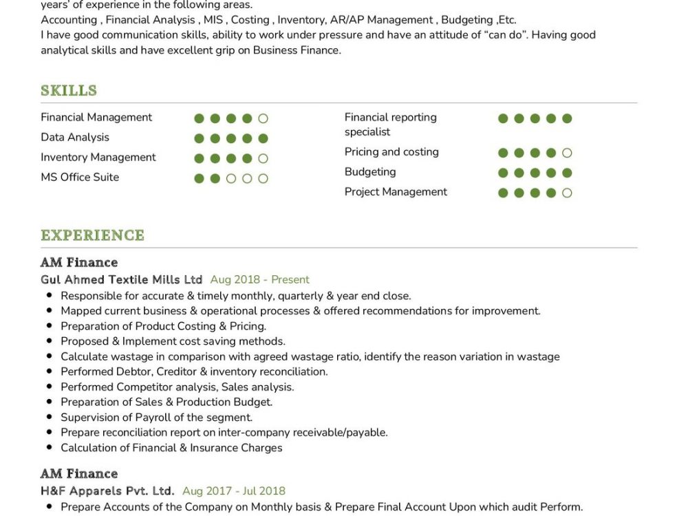 Finance Professional Resume Example