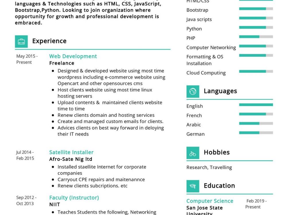 Front end Web Developer Resume Sample