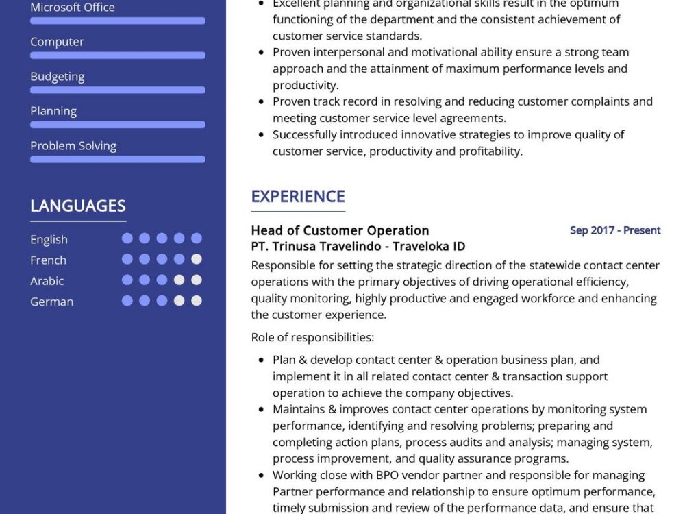 Head of Customer Operation Resume Sample