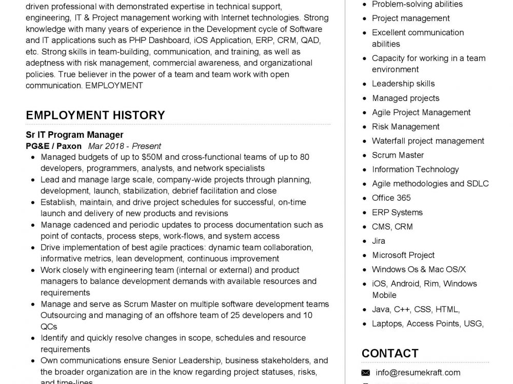 IT Program Manager Resume Example