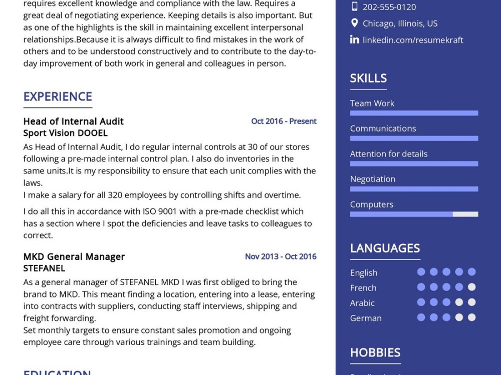 Internal Audit Resume Sample