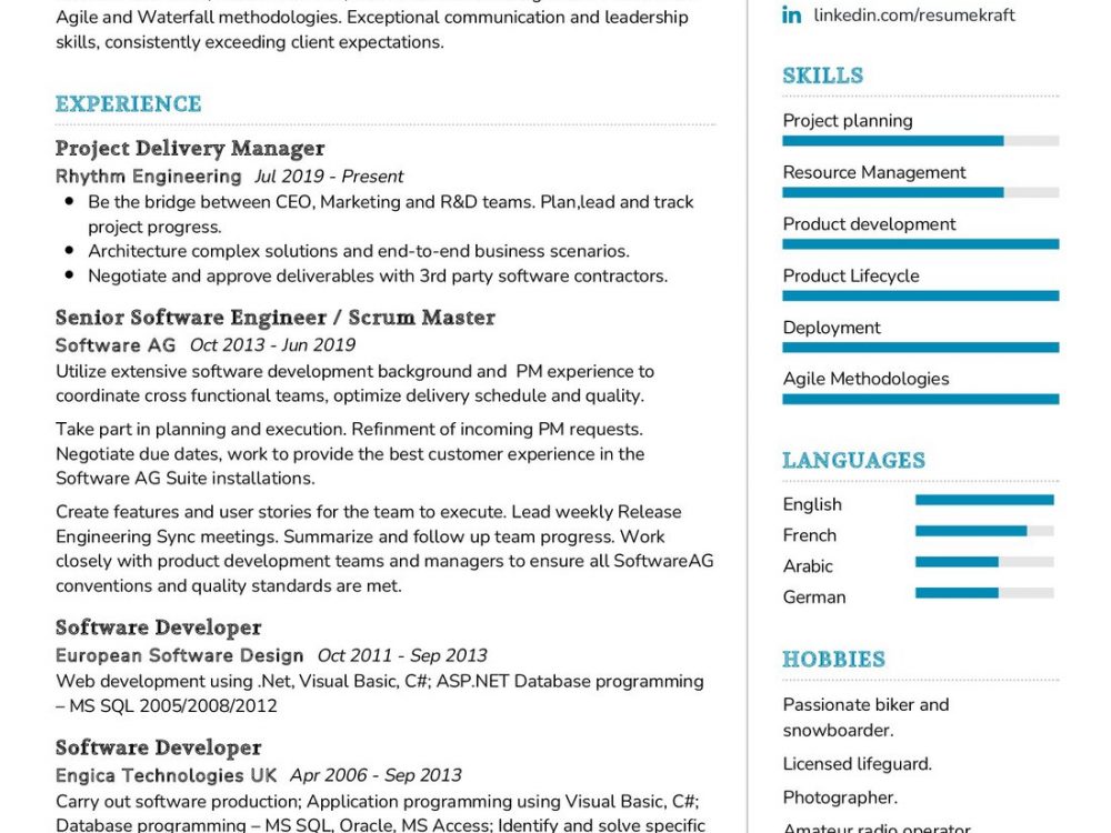 Project Manager Resume Example
