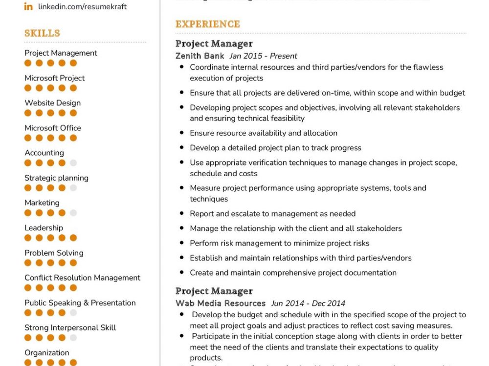 Project Manager Resume Sample