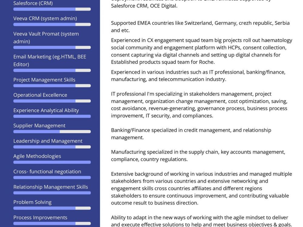 Strategic Business Analyst Resume Example