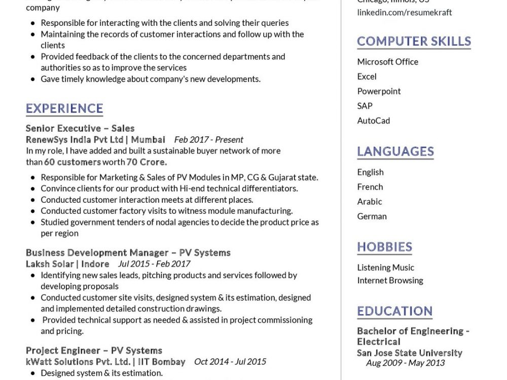 Sales Professional Resume Example