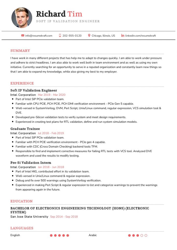 2200+ Professional Resume Samples in 2024 | ResumeKraft