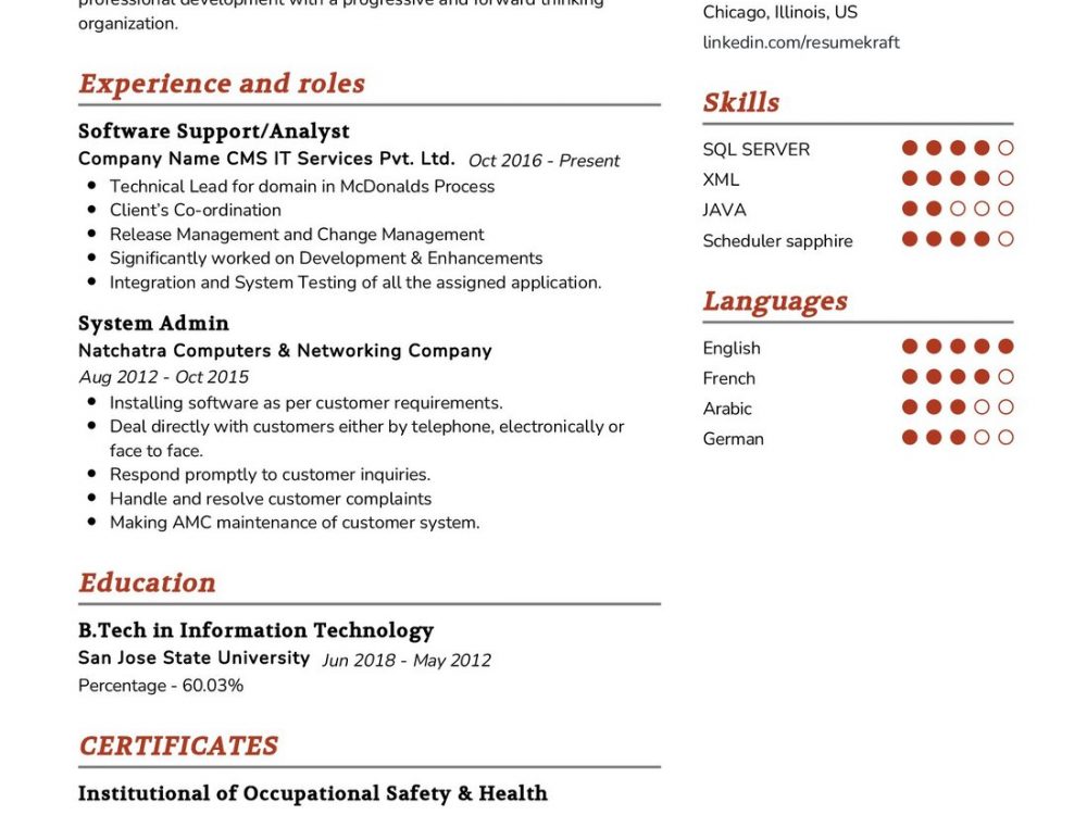 Software Support Resume Example