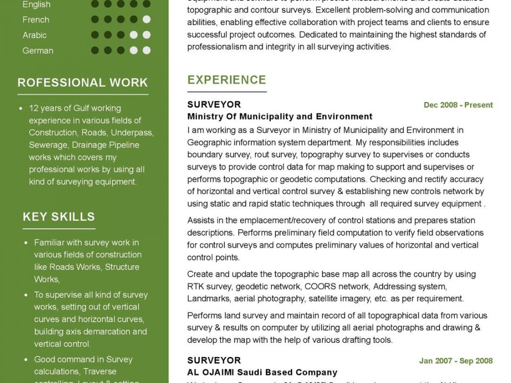 Surveyor Resume Example