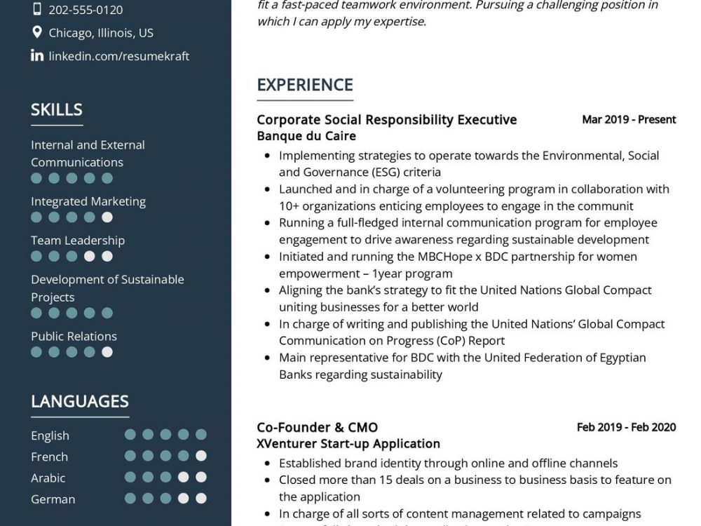 Sustainable Development Executive Resume Sample