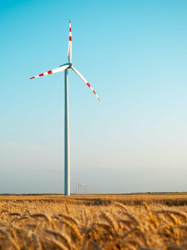 Top 8 Wind Energy Skills: Renewable Jobs 2023