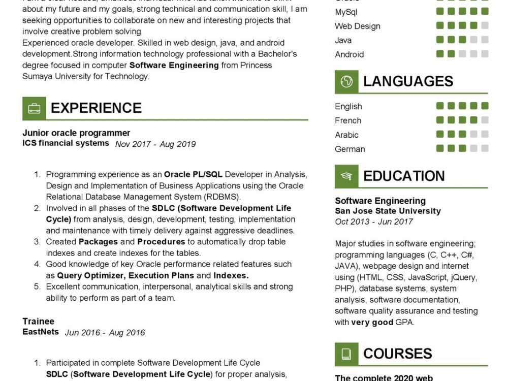 Oracle programmer Resume Sample in 2025 - ResumeKraft