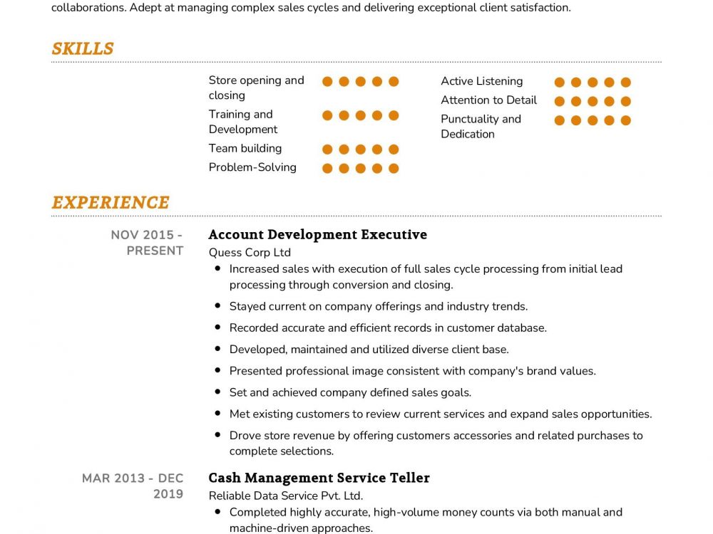 Account Development Executive Resume Sample