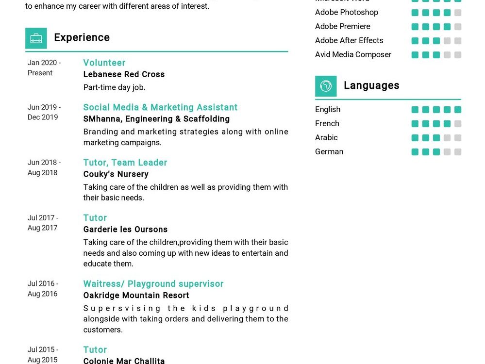 Advertising & Marketing CV Sample