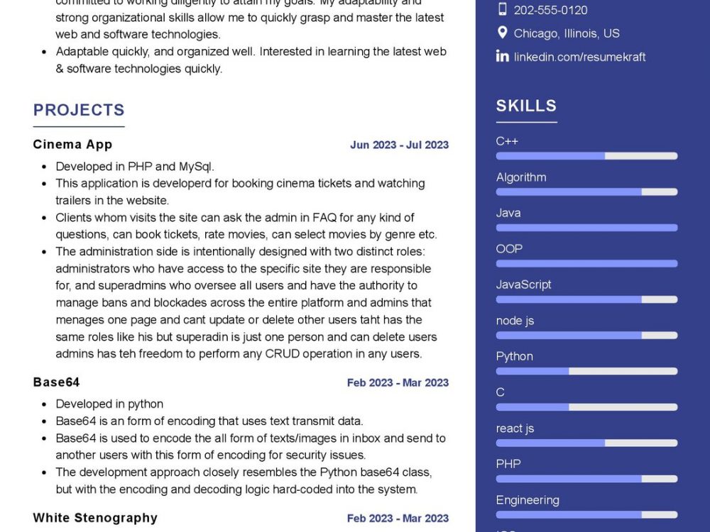 Back-End Developer Resume Sample