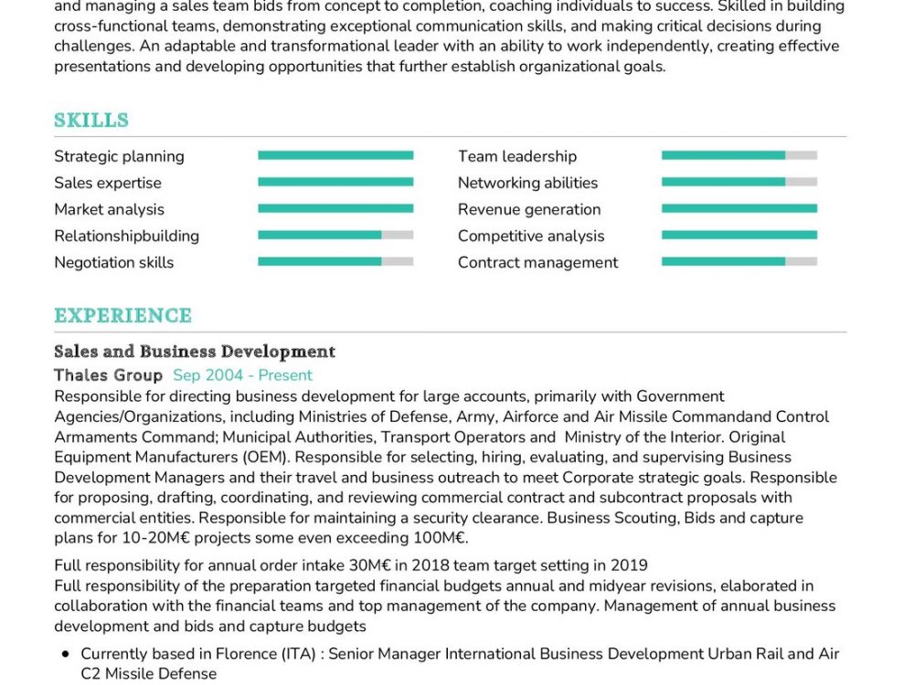 Business Development Director CV Sample In 2024 ResumeKraft   Business Development Director CV Sample 1000x750 