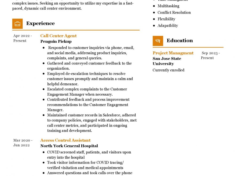 Call Center Agent Resume Example