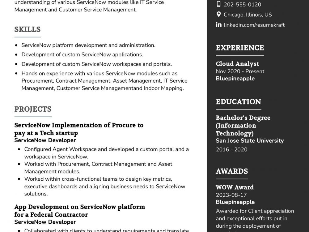 Cloud Analyst Resume Sample