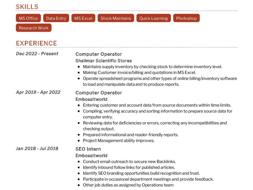 Computer Operator CV Sample in 2024 - ResumeKraft