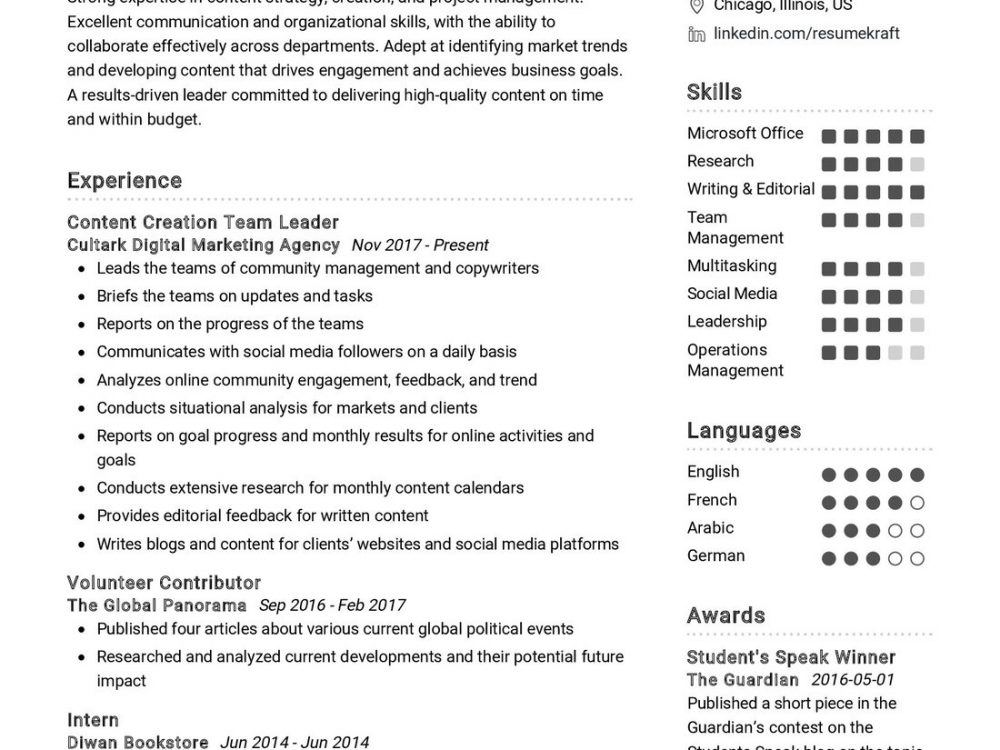 Content Creation Team Leader Resume Sample