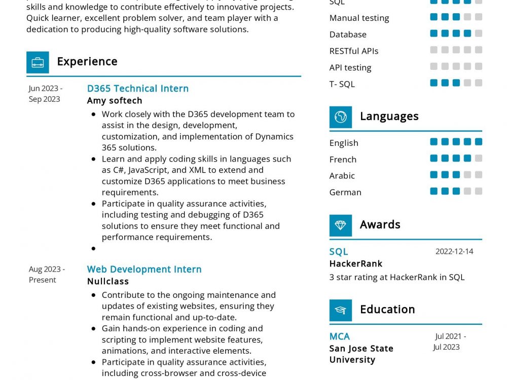 D365 Technical Intern Resume Sample
