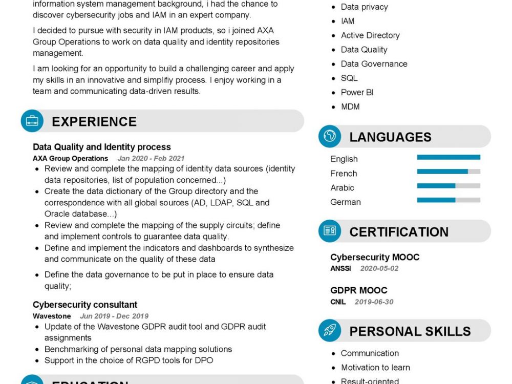 Data Quality Analyst CV Sample in 2024 - ResumeKraft