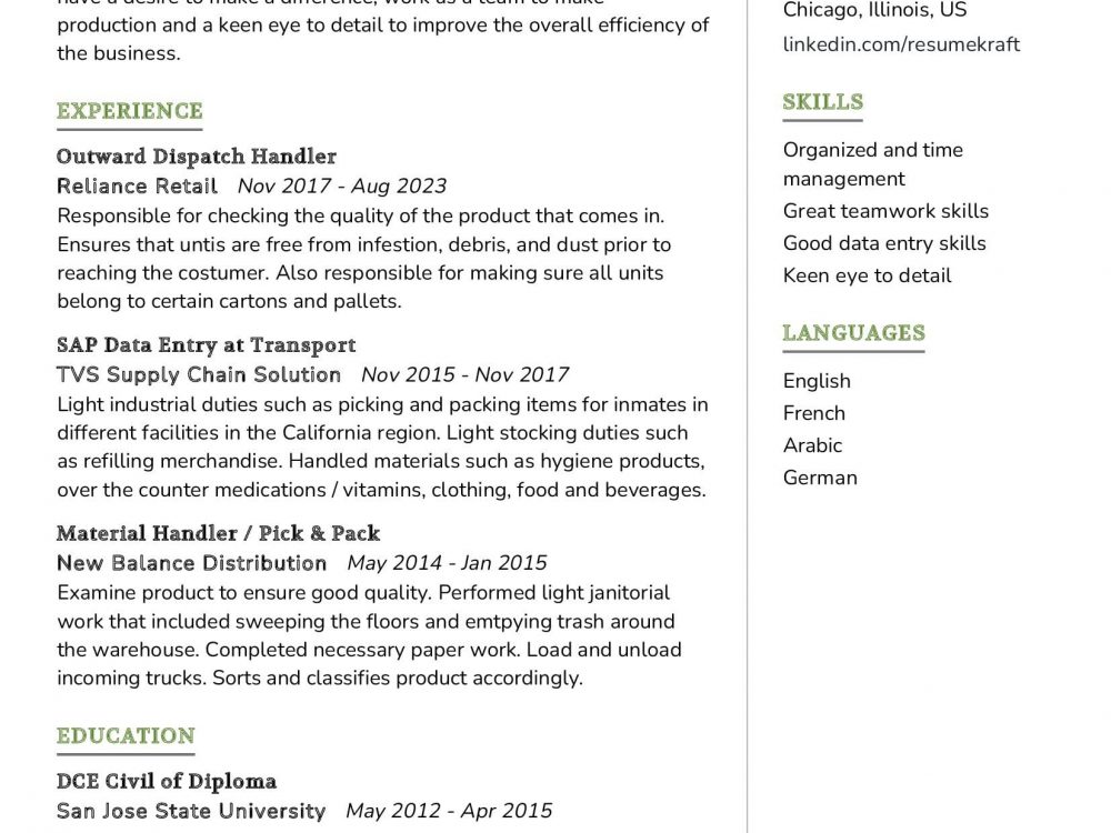 Dispatch Handler Resume Sample