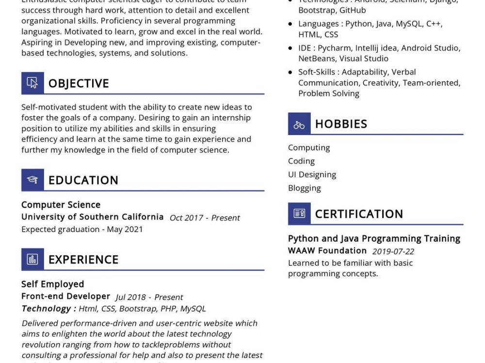 Freelance UI Developer Resume Sample