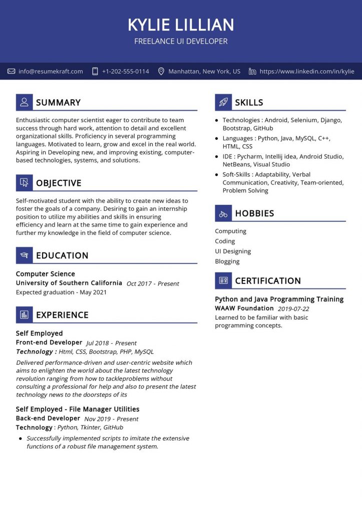 1200+ Professional Resume Samples for 2024 | ResumeKraft