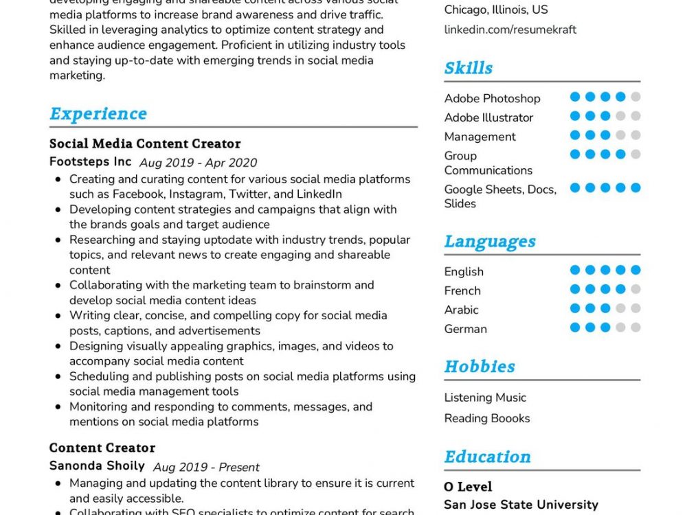 Social Media Content Creator CV Sample