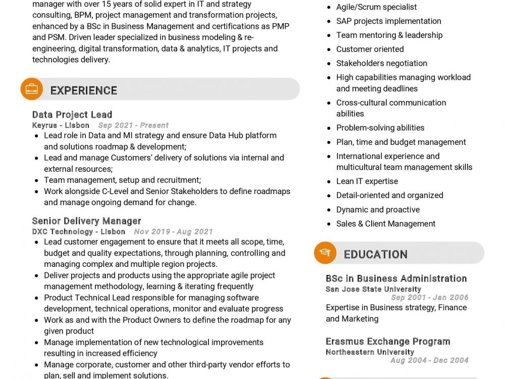 IT Delivery Manager Resume Example