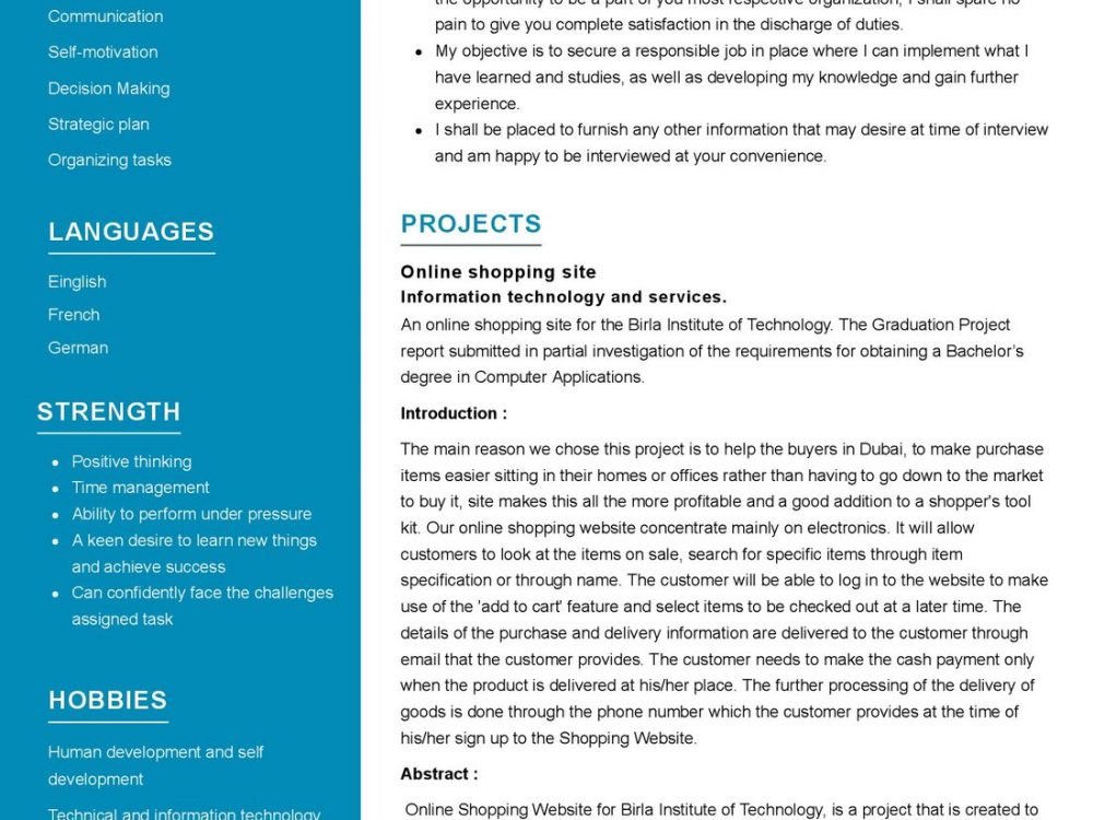 Information Technology Student Resume Example