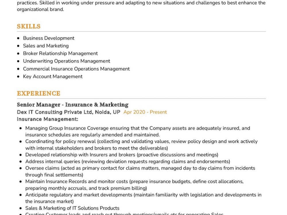 Insurance Professional Resume Example In 2024 ResumeKraft   Insurance Professional Resume Example 1000x750 