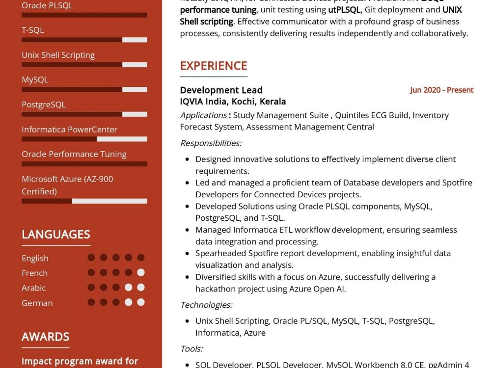 Lead Database Developer Resume Sample