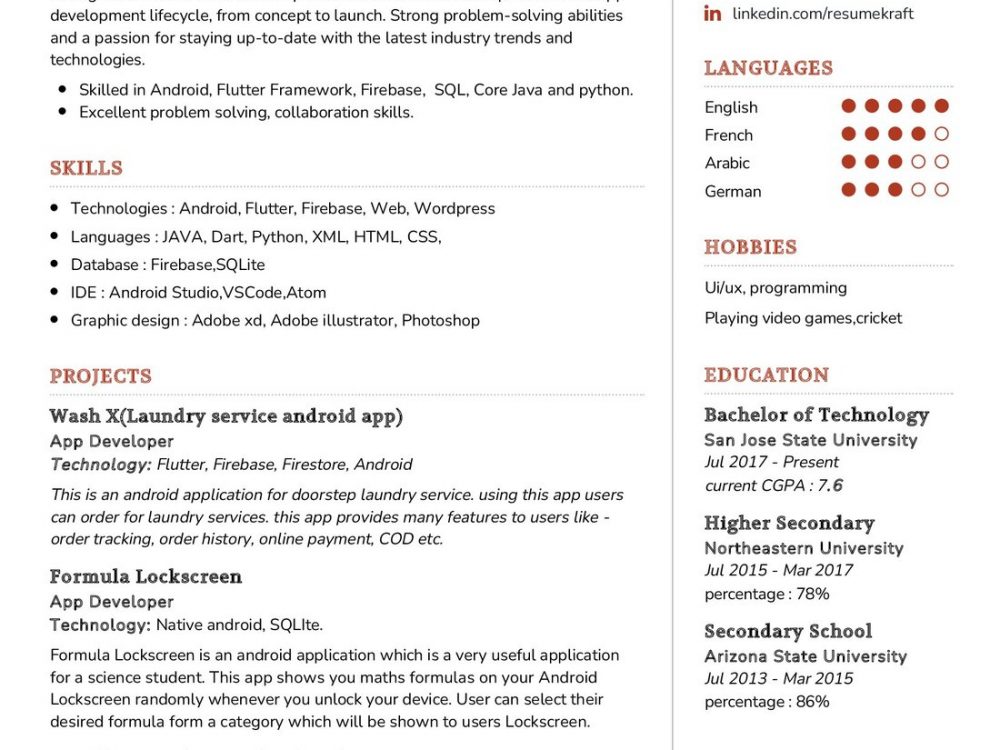 Mobile App Developer Resume Example