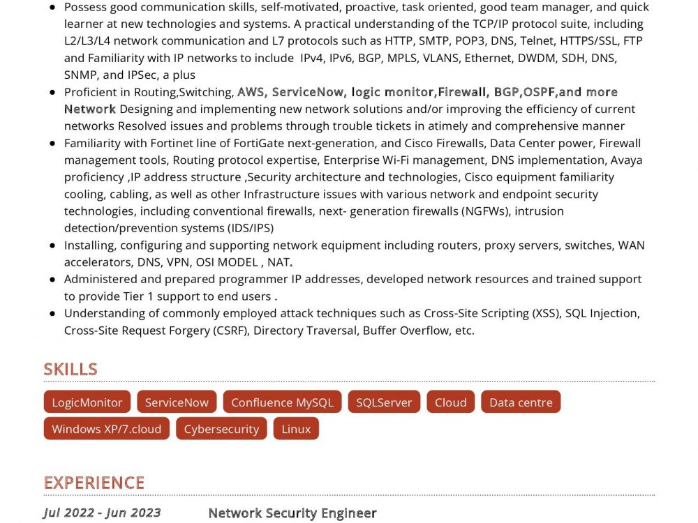 best resume format for network security engineer