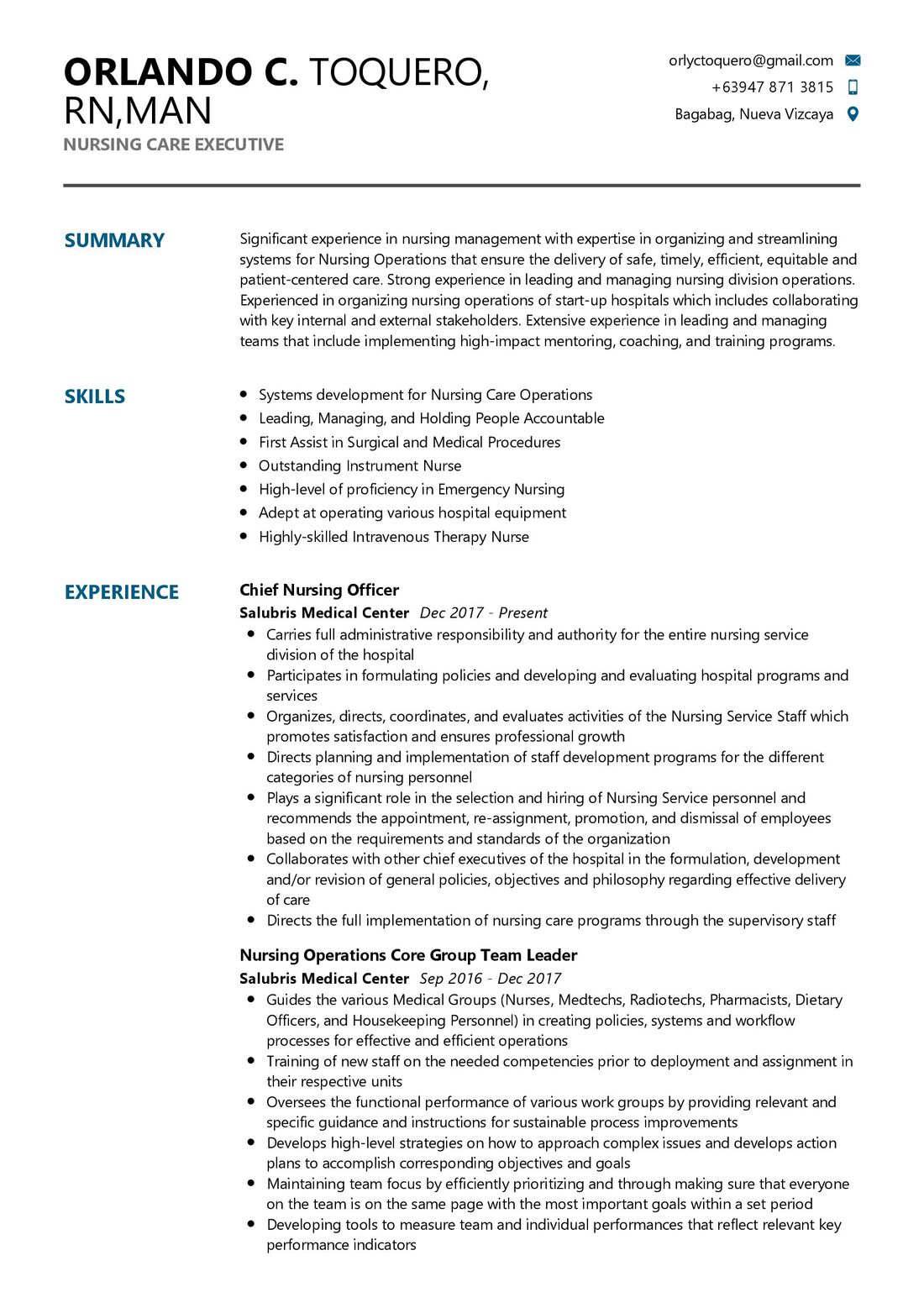 Nursing Care Executive CV Example