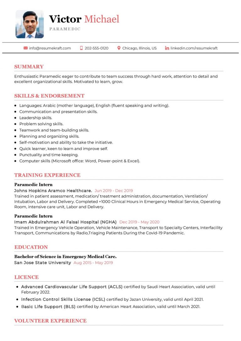 2200+ Professional Resume Samples in 2024 | ResumeKraft