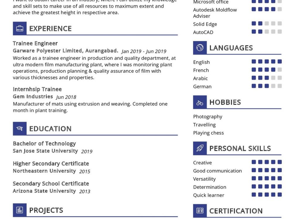 Plastic & Polymer Engineer Resume Sample